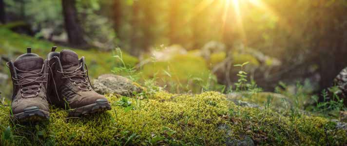 Vom Wandern zum Pilgern