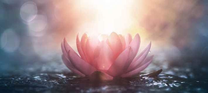 Durch Meditation zu mir selbst kommen