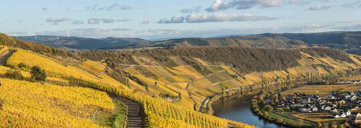 Mosel Camino- der Weg ist das Ziel